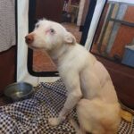 K640_PHOTO-2025-10-14-22-03-00