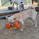 K640_PHOTO-2025-10-14-22-05-35