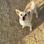 K640_PHOTO-2025-10-14-22-05-35(2)