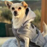 K640_PHOTO-2025-11-29-17-54-18(1)