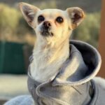 K640_PHOTO-2025-11-29-17-54-20