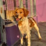 K640_PHOTO-2025-12-05-15-36-37