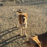 K640_PHOTO-2025-12-05-15-36-39(1)