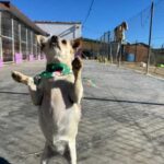 K640_PHOTO-2025-12-08-07-32-41(1)