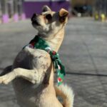 K640_PHOTO-2025-12-08-07-32-41(2)