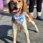 K640_PHOTO-2025-12-10-14-59-16