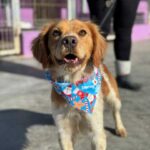 K640_PHOTO-2025-12-10-14-59-16(2)