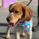 K640_PHOTO-2025-12-10-14-59-17(1)