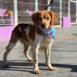 K640_PHOTO-2025-12-10-14-59-18(2)