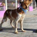 K640_PHOTO-2025-12-10-14-59-18(4)