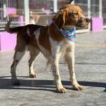 K640_PHOTO-2025-12-10-14-59-19