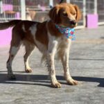 K640_PHOTO-2025-12-10-14-59-19(1)