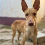 K640_PHOTO-2025-12-12-07-30-54