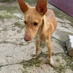 K640_PHOTO-2025-12-12-07-30-54(3)