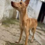 K640_PHOTO-2025-12-12-07-30-54(4)