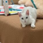 K640_PHOTO-2025-12-12-16-45-39