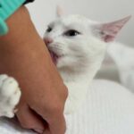 K640_PHOTO-2025-12-12-16-45-39(1)