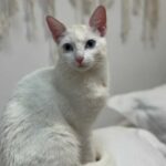 K640_PHOTO-2025-12-12-16-45-40