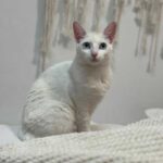 K640_PHOTO-2025-12-12-16-45-40(2)