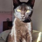 K640_PHOTO-2025-12-12-16-51-10