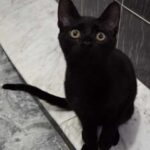 K640_PHOTO-2025-12-12-16-51-11