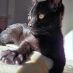 K640_PHOTO-2025-12-12-16-51-11(1)