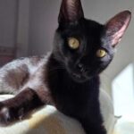 K640_PHOTO-2025-12-12-16-51-11(3)