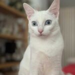 K640_PHOTO-2025-12-15-15-57-30