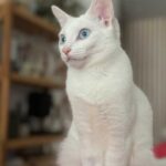 K640_PHOTO-2025-12-15-15-57-31(1)