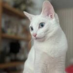 K640_PHOTO-2025-12-15-15-57-31(2)