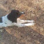 K640_PHOTO-2025-12-17-17-16-38