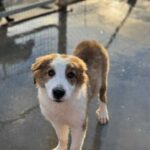 K640_PHOTO-2025-12-29-13-33-54