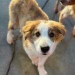 K640_PHOTO-2025-12-29-13-34-00