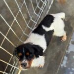 K640_PHOTO-2025-12-29-13-34-49