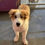 K640_PHOTO-2025-12-29-13-35-02