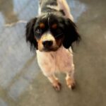 K640_PHOTO-2025-12-29-13-35-15