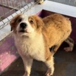 K640_PHOTO-2025-12-29-13-36-20