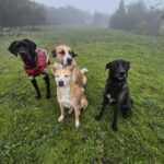 K640_PHOTO-2026-01-10-14-36-45