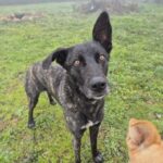 K640_PHOTO-2026-01-10-14-36-45(1)