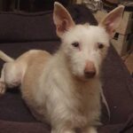 K640_PHOTO-2026-01-11-01-12-31