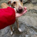 K640_PHOTO-2026-01-11-09-35-41