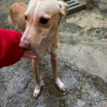 K640_PHOTO-2026-01-11-09-35-41(1)