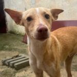 K640_PHOTO-2026-01-11-09-35-41(2)