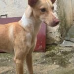 K640_PHOTO-2026-01-11-09-35-41(3)