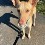 K640_PHOTO-2026-01-11-09-35-44