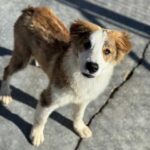 K640_PHOTO-2026-01-11-14-01-54