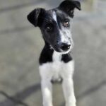 K640_PHOTO-2026-01-16-17-25-01