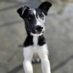 K640_PHOTO-2026-01-16-17-25-02