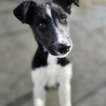 K640_PHOTO-2026-01-16-17-25-02(2)