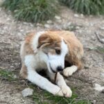 K640_PHOTO-2026-01-18-22-49-43